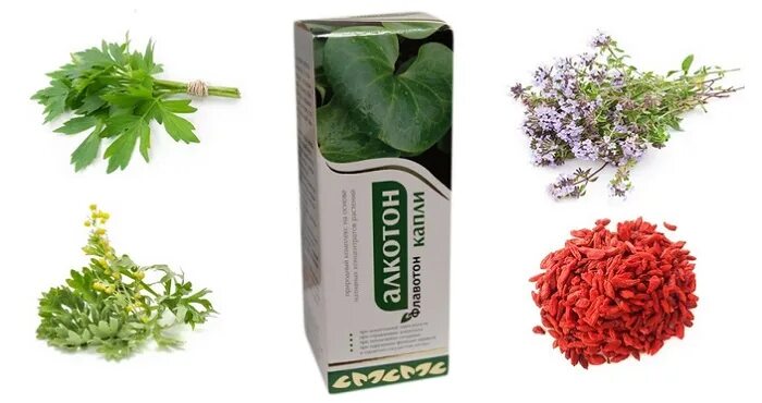 Полынь и чабрец от алкоголизма. Сныть отвар. Травка от пьянства. Полынь от алкоголизма. Травы от алкоголизма.