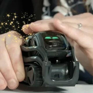 Anki vector