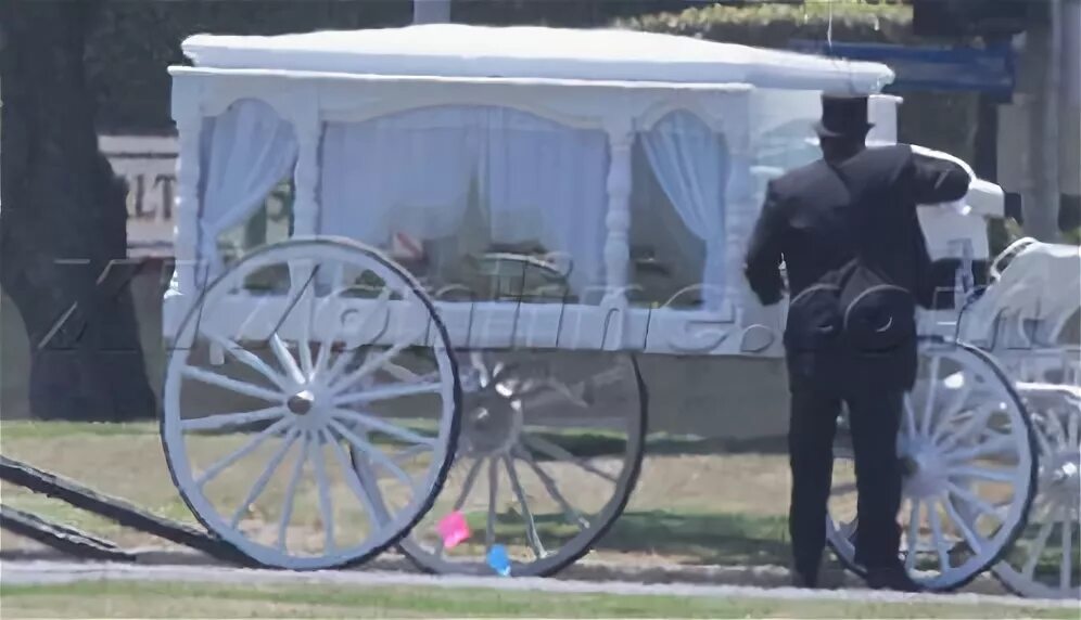Карета с гробом. Машины кареты на похороны. Печальная невеста в карете. Могила Майкла Джексона. Белая лошадь теракт