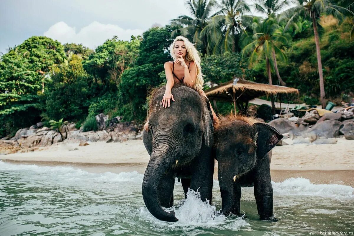 Удивитель. Тайланд экскурсия на слонах. Шри Ланка туризм. Девушка на слоне. Тайланд слоны.