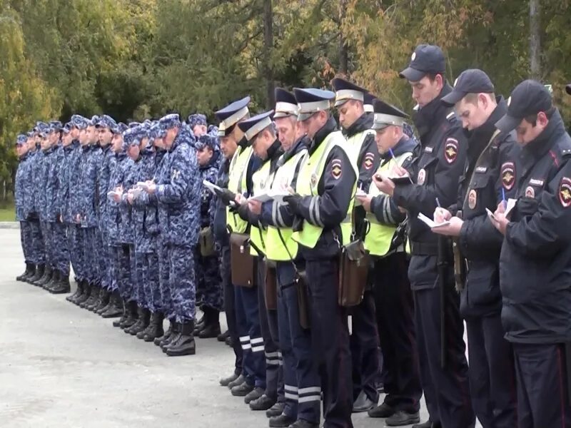 Управление организации общественного порядка. Полиция и Росгвардия. Полиция охрана общественного порядка. ППС охрана общественного порядка. Росгвардия МВД.