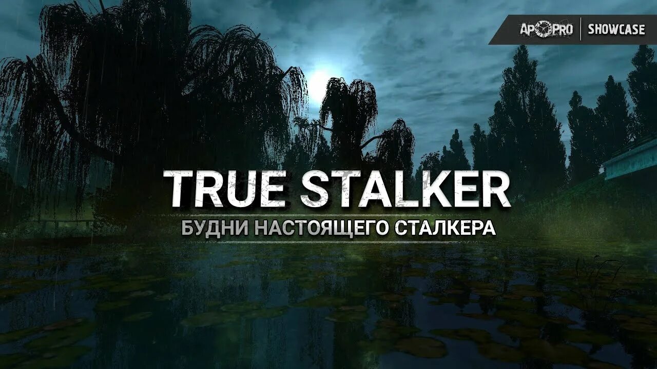 Будни сталкера. True Stalker. True Stalker AP Pro. Сталкер труе Дата выхода.