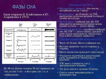 Сколько длится фаза медленного сна