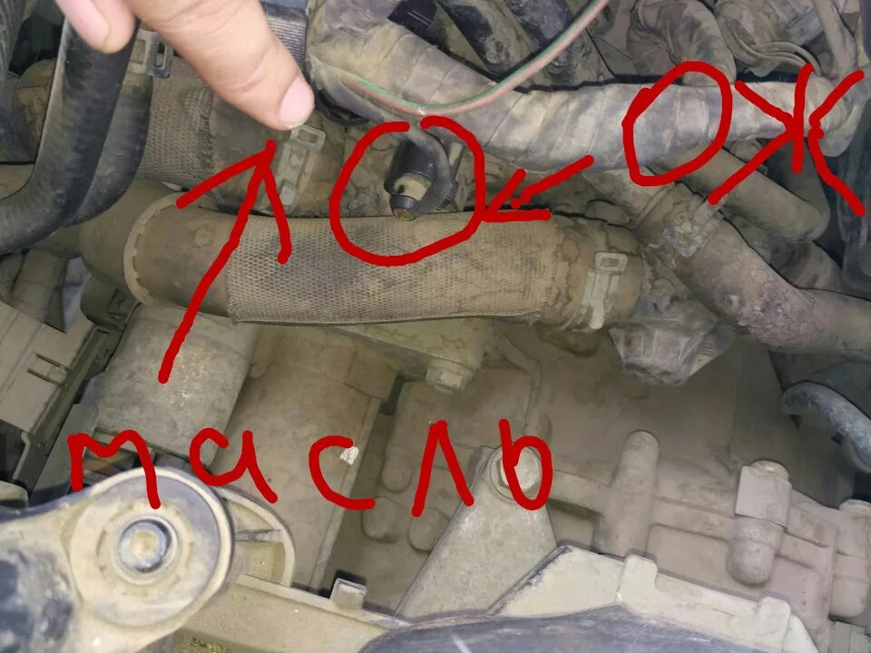 Датчик давления масла. Замена - Volkswagen Golf Mk6, 1,4 л, 2009 года своими рук