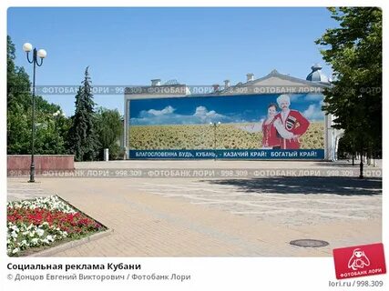 Кубань социальная