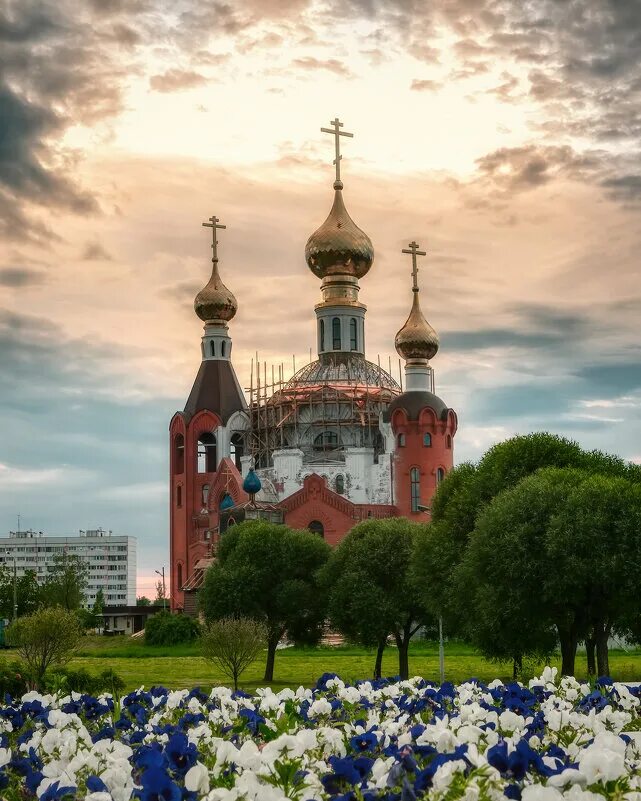 Добровольцев 32 храм преображения господня. Храм преображение в лигово духовенство. Храм преображения господня в лигово. Храм преображения в лигово. Добровольцев 32 храм преображения господня.