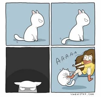 Котиков живем