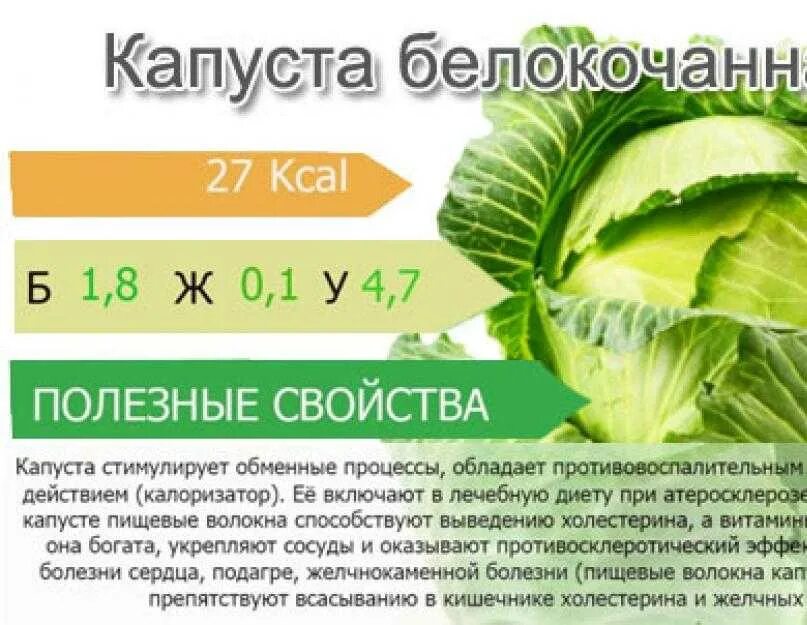 Капуста кочанная витамины. Полезные качества капусты. Витамины в капусте белокочанной. Полезные качества капусты белокочанной.
