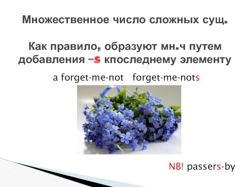 Forget me not множественное число. Forget-me-not множественное число в английском языке. Not во множественном числе. Passer-by множественное число. Незабудка падеж