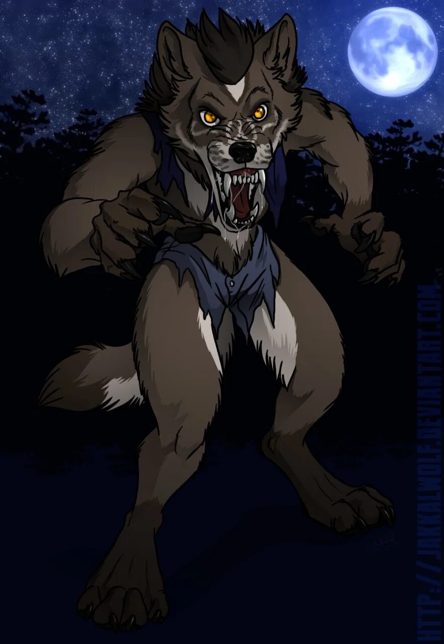 Werewolf transformation. Оборотень shadow. девушка оборотень трансформация. священник transformation werewolf.