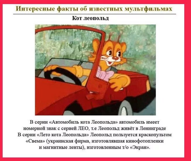 Как в жизни выглядит кот лео