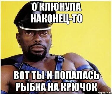 Стой или попался