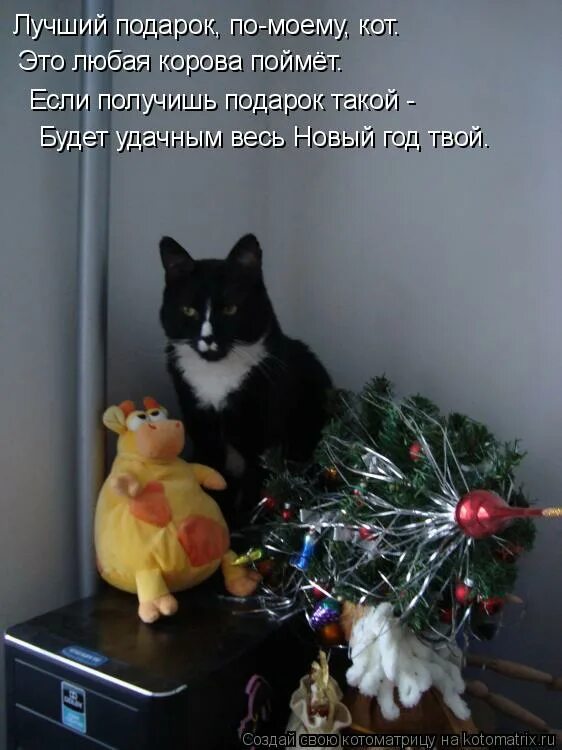 здравствуй дедушка мороз борода. стих здравствуй дедушка мороз бо. стишки здравствуй дедушка мороз борода из ваты. с днём рождения котоматрица. стих на новый год здравствуй дедушка мороз борода из ваты.