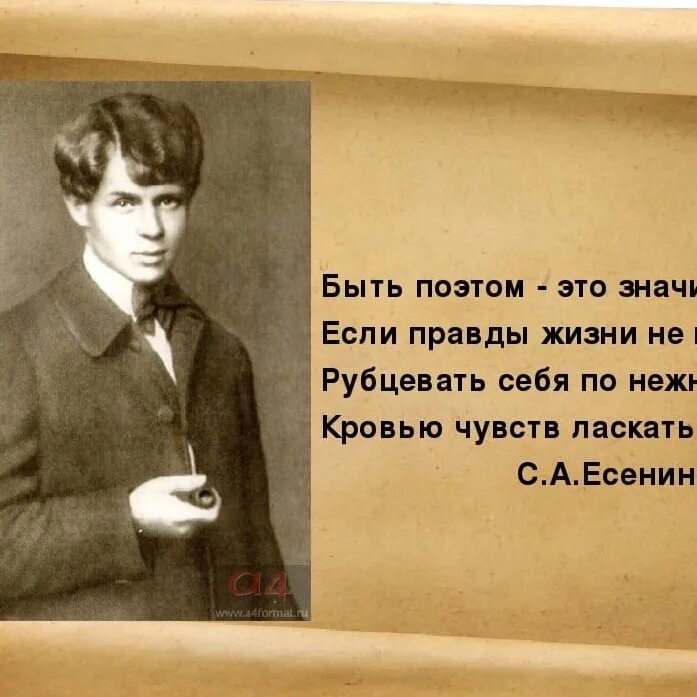 Высказывание поэтов о жизни. Афоризмы о поэзии. Афоризмы поэтов. Цитаты о поэзии. Высказывания о поэзии.