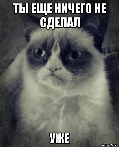Ты еще не сделал. Боремся за звание дома высокой культуры. А еще я в нее ем. Интересно не интересно. Дон корлеоне,здравствуй дорогой.