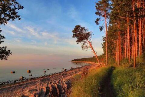 Лес и море береги