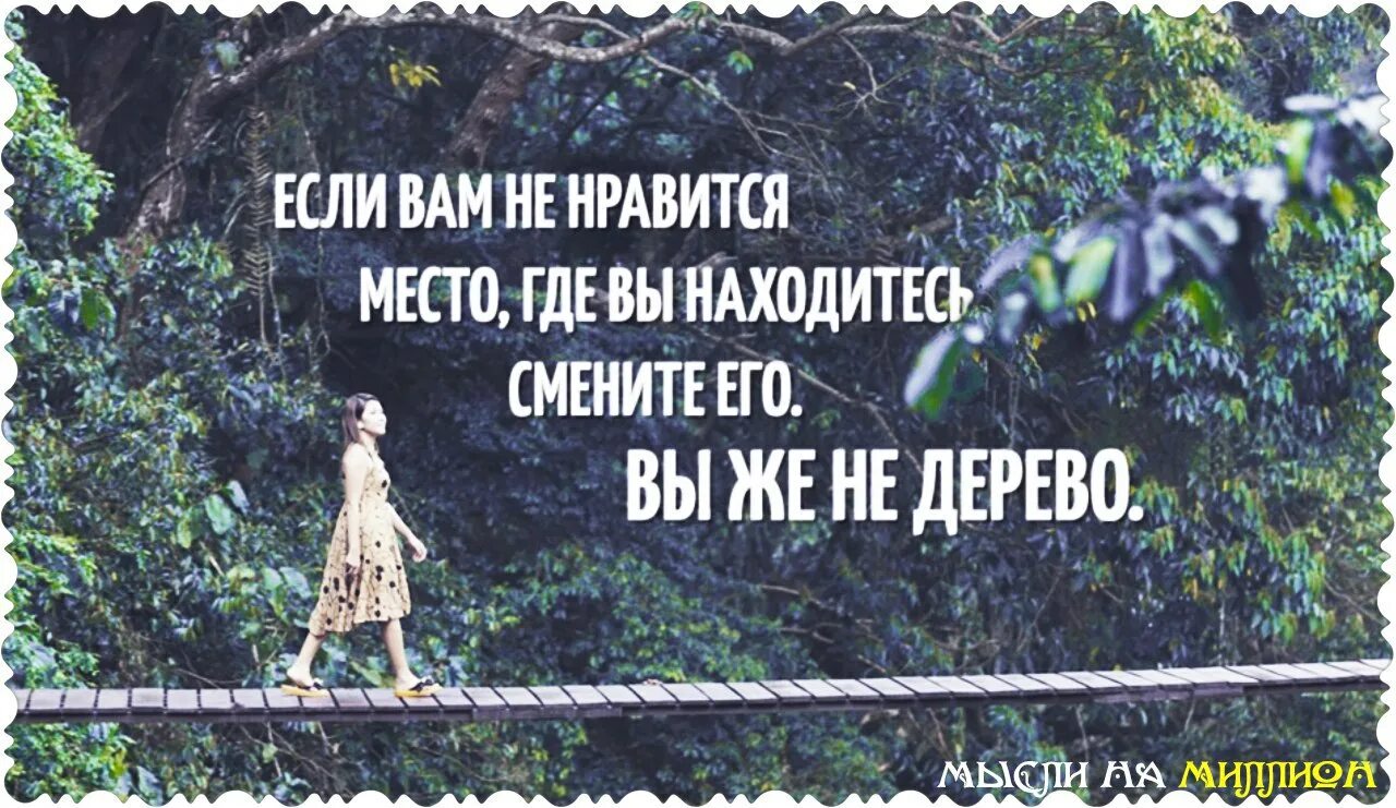 Ты же не дерево цитата. Если вам не нравиться место где вы находитесь. Если вам не Нравится то место где вы находитесь смените его. Если вам не нравиться место где. Афоризм место