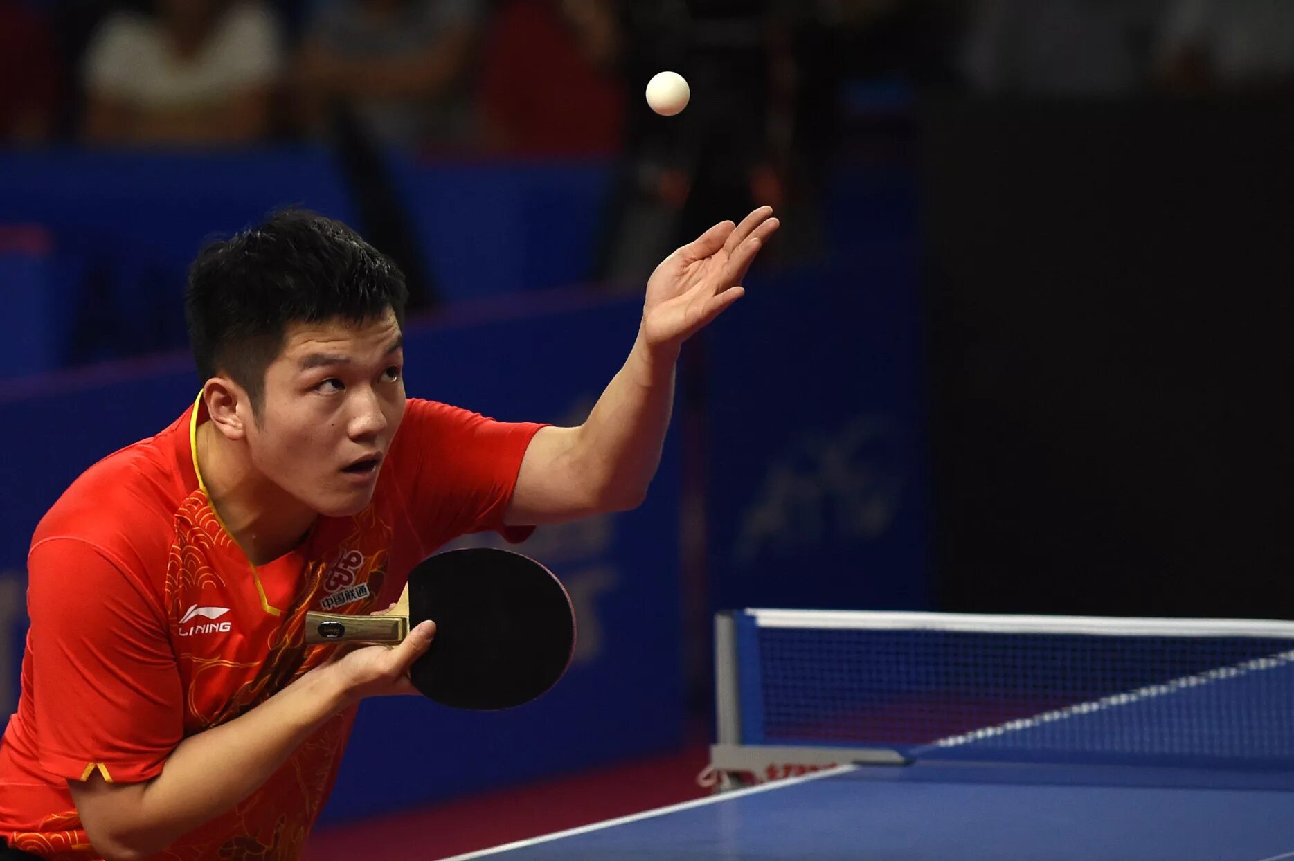 Фан лей. Китайский теннисист fan zhendong. Чжао лэй хуавей. Ли сяо. Ping the fan.