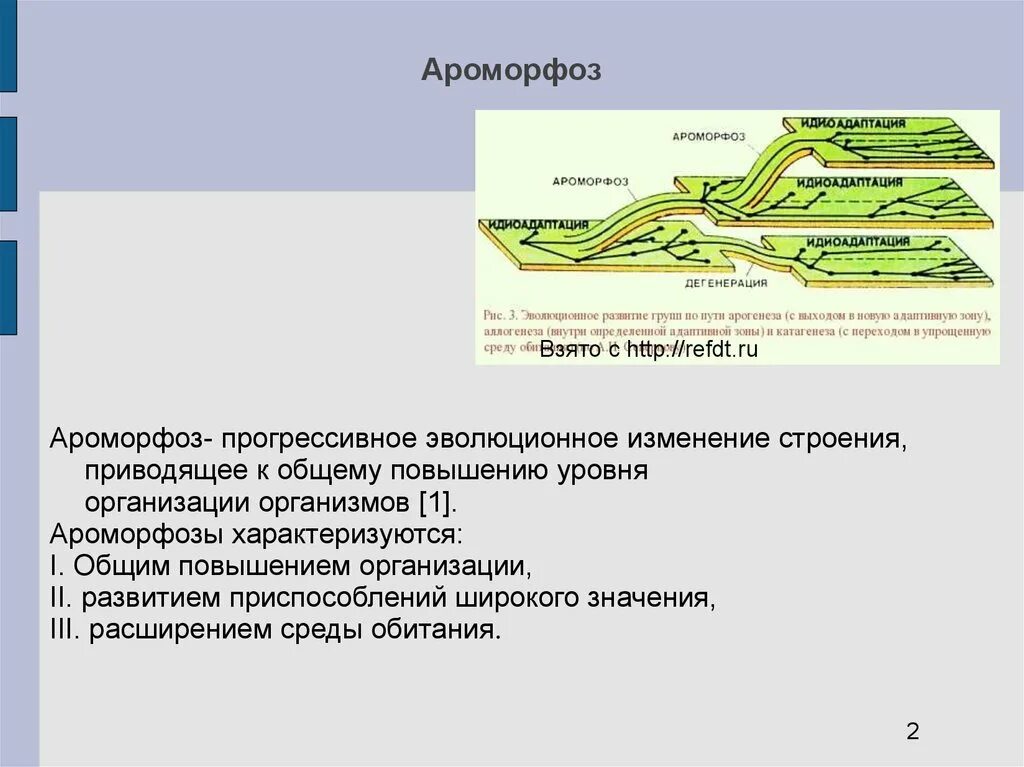 Лабораторная работа 3 изучение ароморфозов и идиоадаптаций. Лабораторная работа 3 изучение ароморфозов и идиоадаптаций