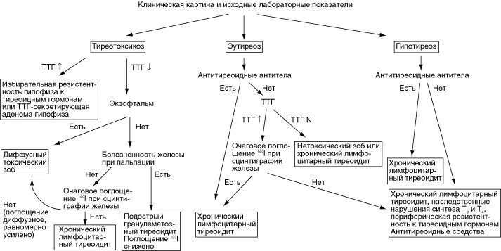 Повышенный ттг гипертиреоз. Механизм развития тиреотоксикоза. Дифференциальная диагностика при синдроме тиреотоксикоза. Дифференциальная диагностика тиреотоксикоза и гипотиреоза. Показатели гормонов щитовидной железы при тиреотоксикозе.