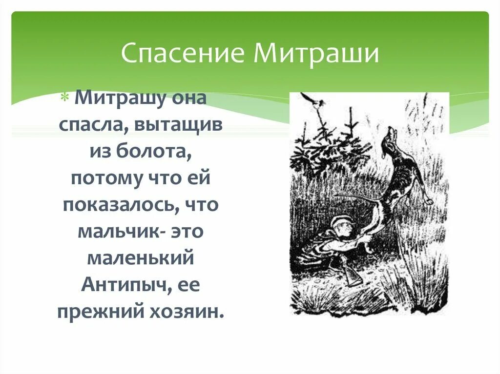 Вывод кладовая солнца. Сказ Пришвина кладовая солнца. Путь Митраши кладовая солнца пришвин. Иллюстрации к произведениям Пришвина. Кладовая солнца спасение Митраши.