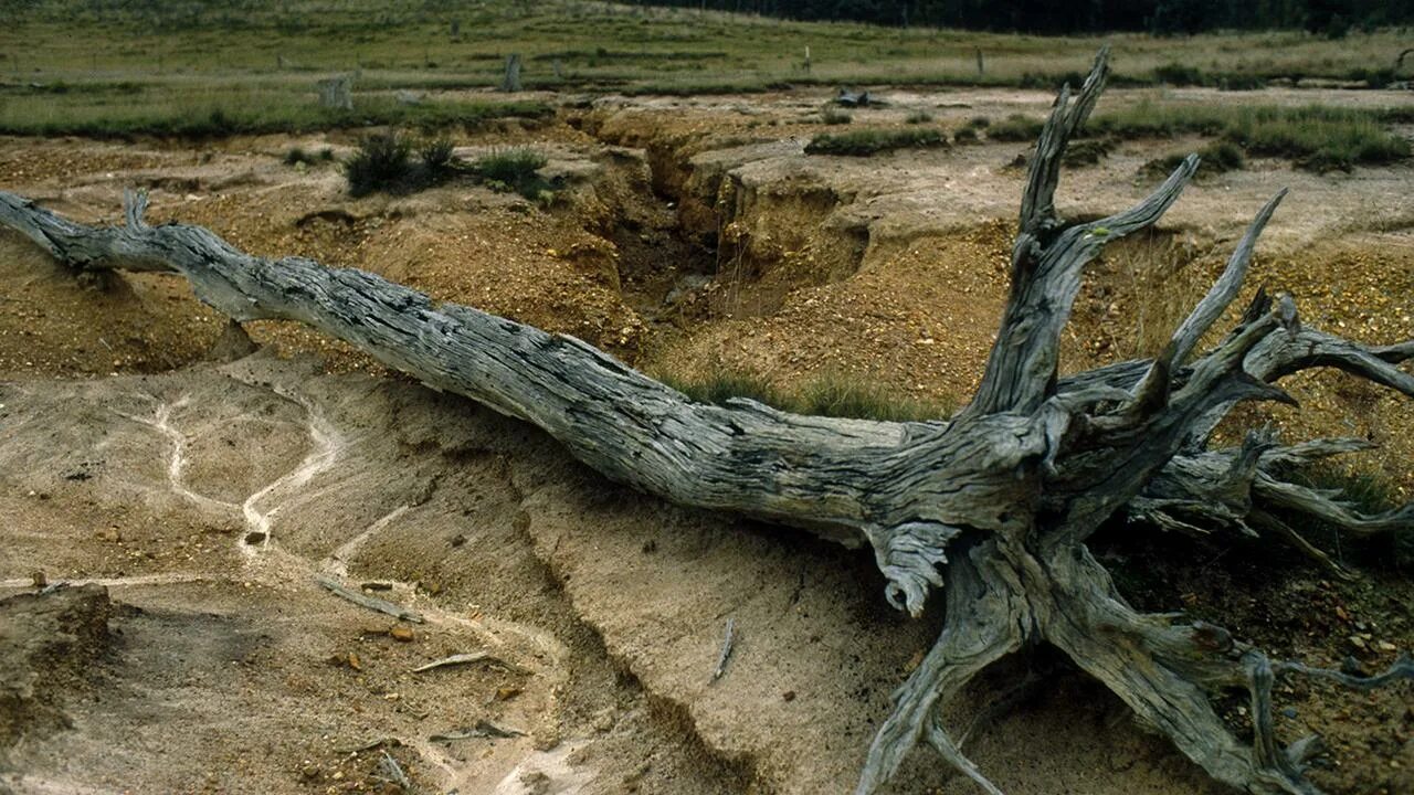 Ветровая эрозия. Ветровая эрозия выдувание почвы. Разрушение плодородных почв. Разрушение плодородных почв. Водная и ветровая эрозия.