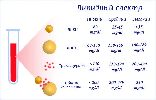 Липидный профиль расшифровка. Липидный спектр крови показатели. Липидный профиль. Липидный профиль что входит. Холестерин липидный профиль.