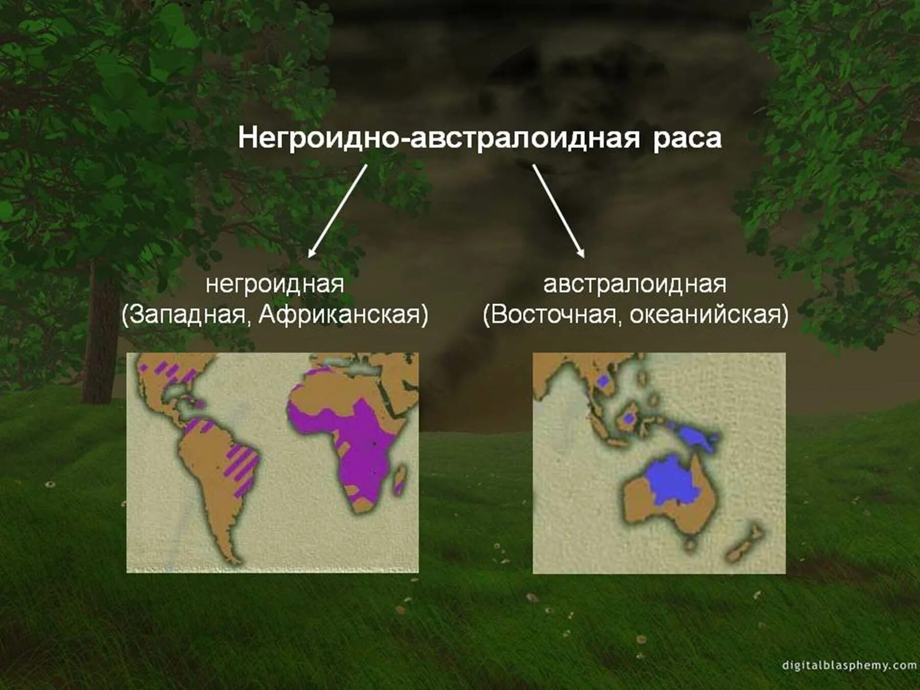 Распространение негроидной расы карта. Негроидная раса распространение. Экваториальная раса на карте. Территория проживания негроидной расы.