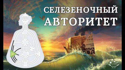 Центр селезенки