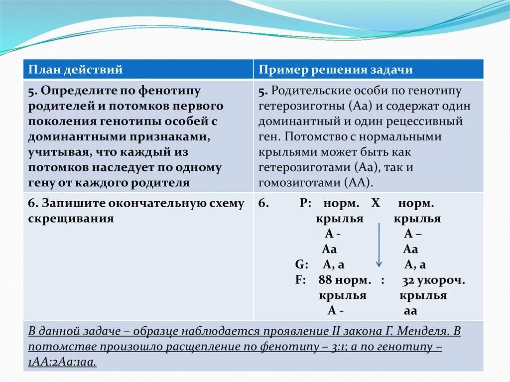 Одинаковый генотип это. Как определить по фенотипу. Как определить фенотип по генотипу. Как определить генотип в задаче. Задачи на генотип и фенотип с решением.