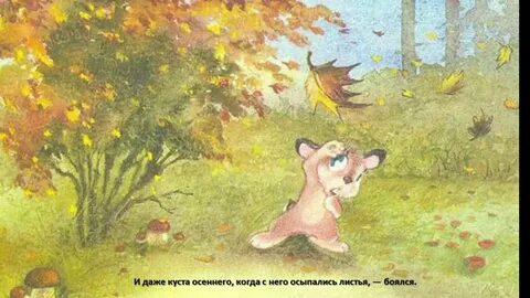 Даже кустов