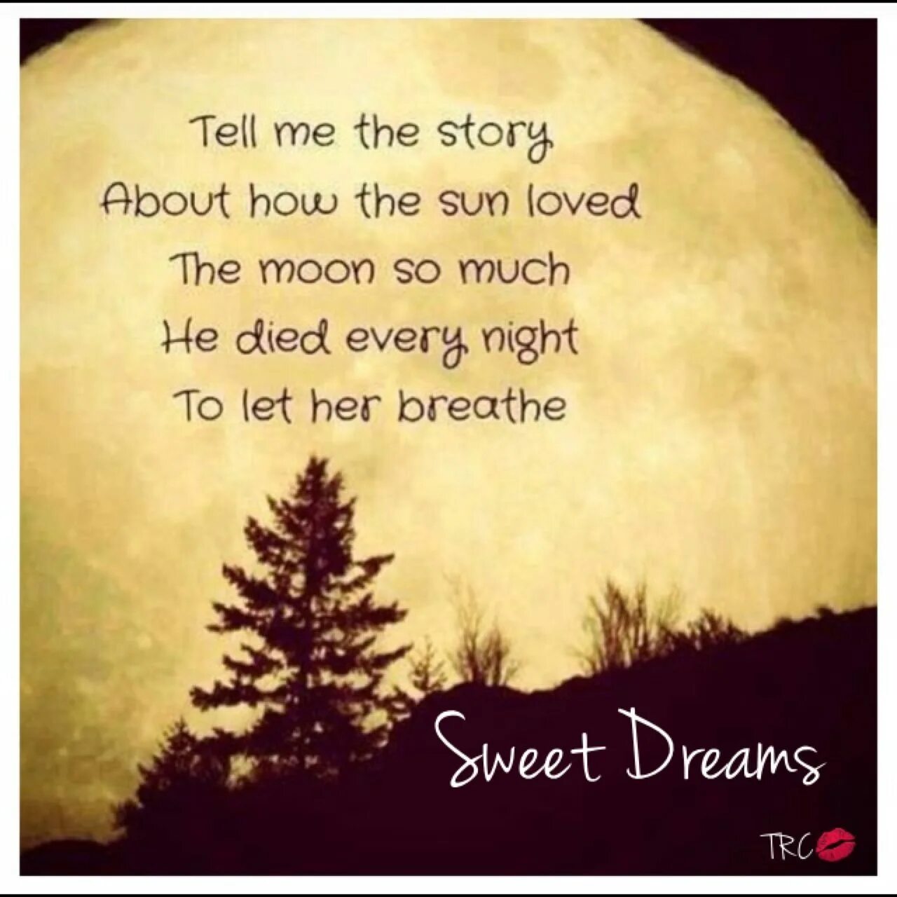 Солнце и луна любовь. Everything and nothing. Moon love перевод. Sun poem. Sun and moon.