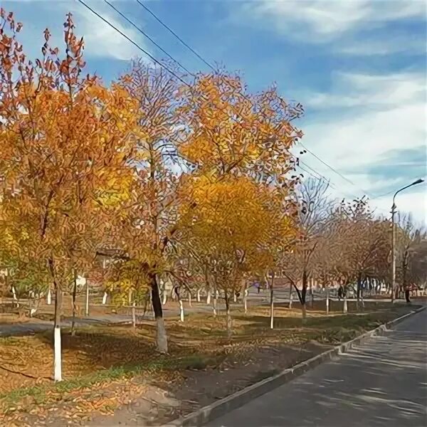 ТЦ "Дружба" в Оренбурге, ул. Дружбы, 16 - фото, отзывы 2025, рейтинг, телефон и 