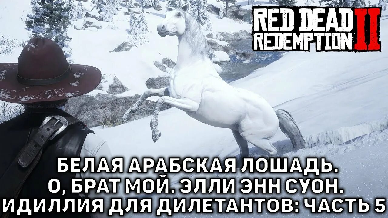 Элли Энн Суон rdr 2. Белая арабская лошадь rdr 2. Арабская белая лошадь РДР 2. Red Dead Redemption 2 арабский скакун белый. Песня делайте братья