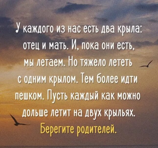 Береги пока живы. Родители это два крыла. Фразы про маму и папу. Цитаты про маму и папу. Цитаты про родителей.