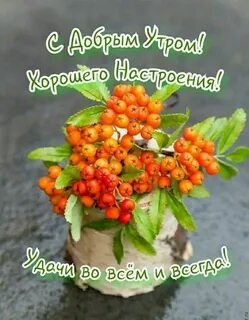 Удачи утром