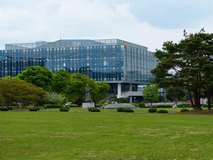 Kaist university
