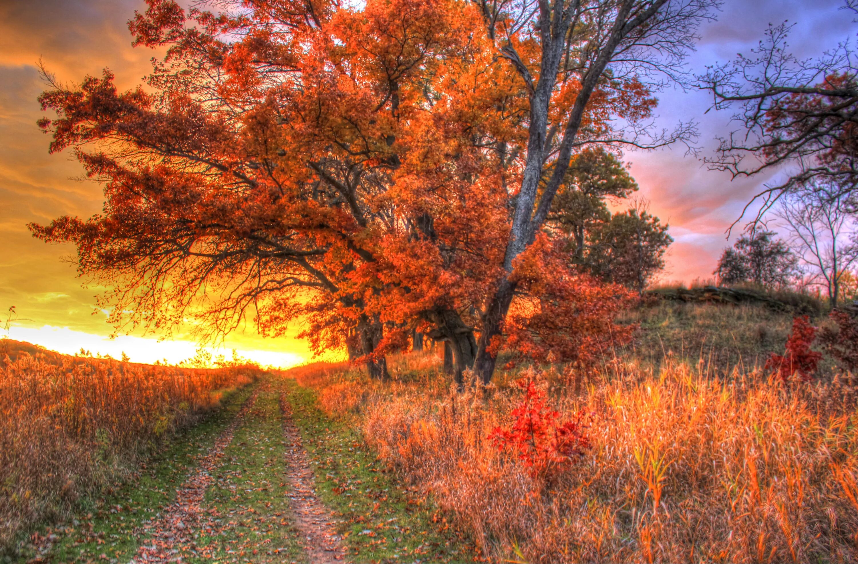 In autumn it is often. Осенний пейзаж. Рассвет осенью. Осенний закат. Осень закат.