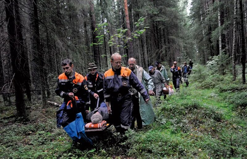Сила экстремальные ситуации. МЧС России на поисках в лесу. Поисковики ищут человека в лесу.