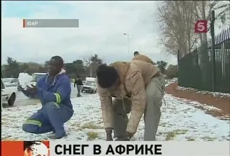 Вряд ли когда бушевали в сибири