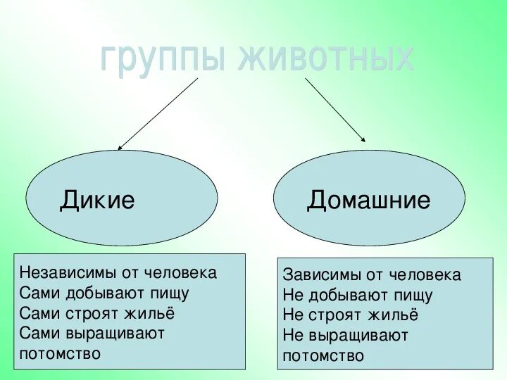 Значение животных в жизни человека. Роль животных в природе. Ролт животных в природе. Роль животных в природе и жизни человека.