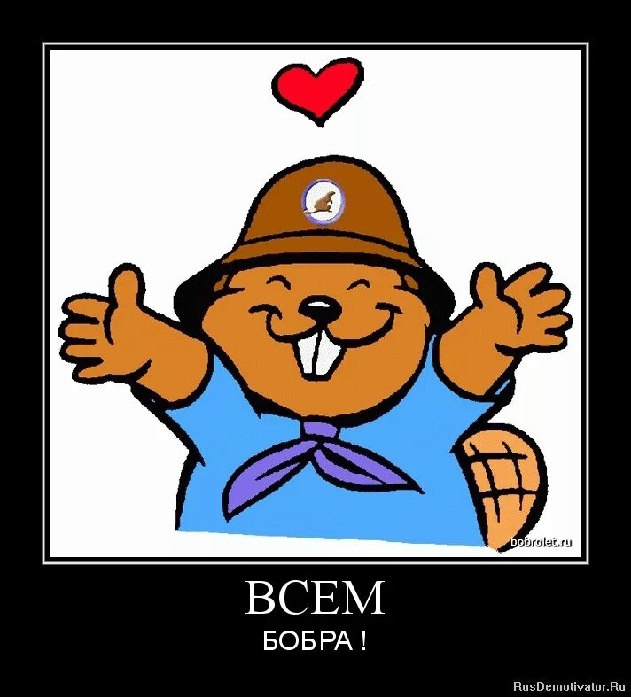 смешные бобы. всем бобра прикол. всем бобра картинки прикольные. картинка бобра. всем бобра.