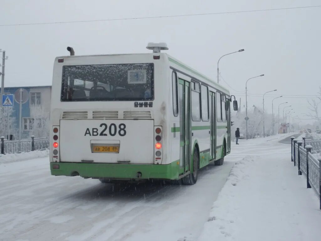 Автобусы Салехард. Салехардский автобус орнамент. Автобус Салехард на аву. Автобус зима № 206 «АВ Краснокамск — АВ Г. Пермь».