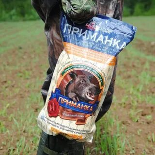 Приманка для кабана