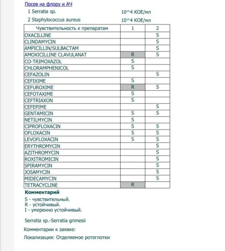Бак посев на флору и Ач расшифровка. Анализы на бак посев расшифровка. Посев на микрофлору и чувствительность норма. Расшифровка анализа бак посев мочи на микрофлору.