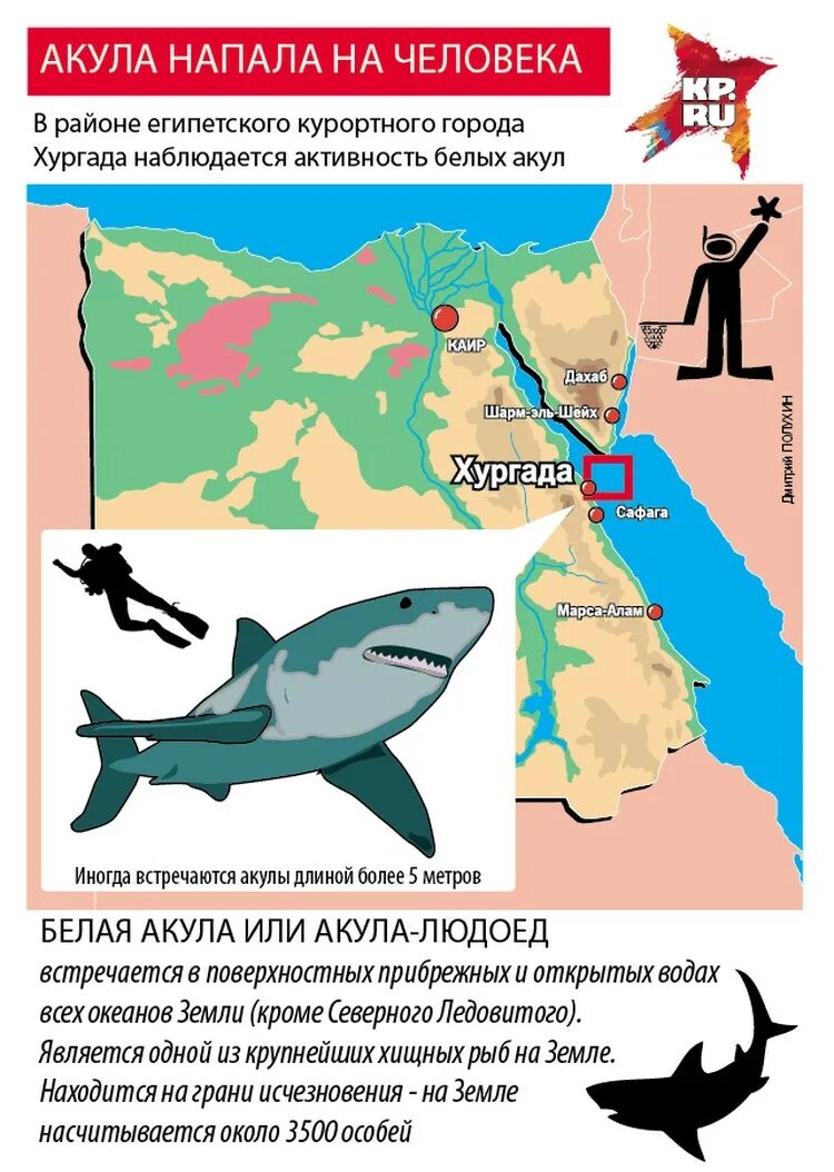 Места нападения. Места нападения акул в Египте на карте. Карта нападения акул в Шарм-Эль-Шейхе. Нападение акулы в Египте в Хургаде.