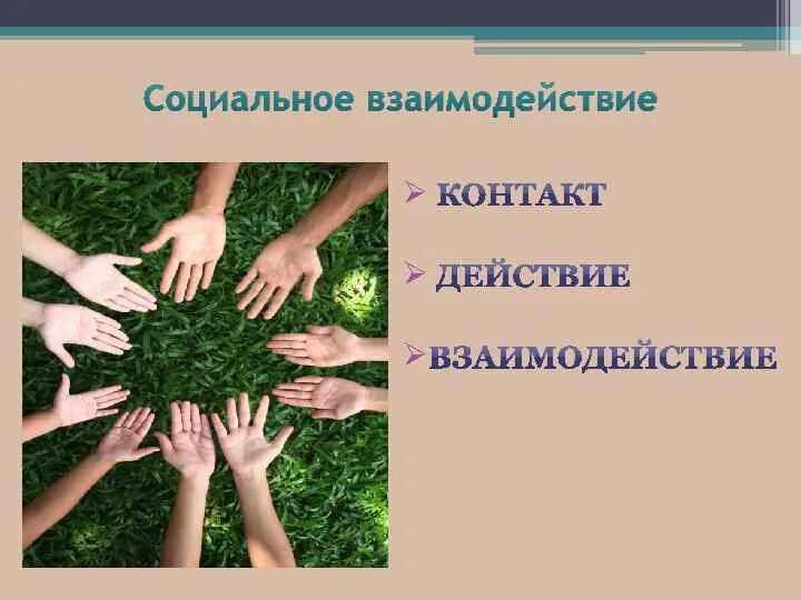 Черты социального взаимодействия