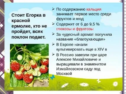 Загадка стоит егорка в красной