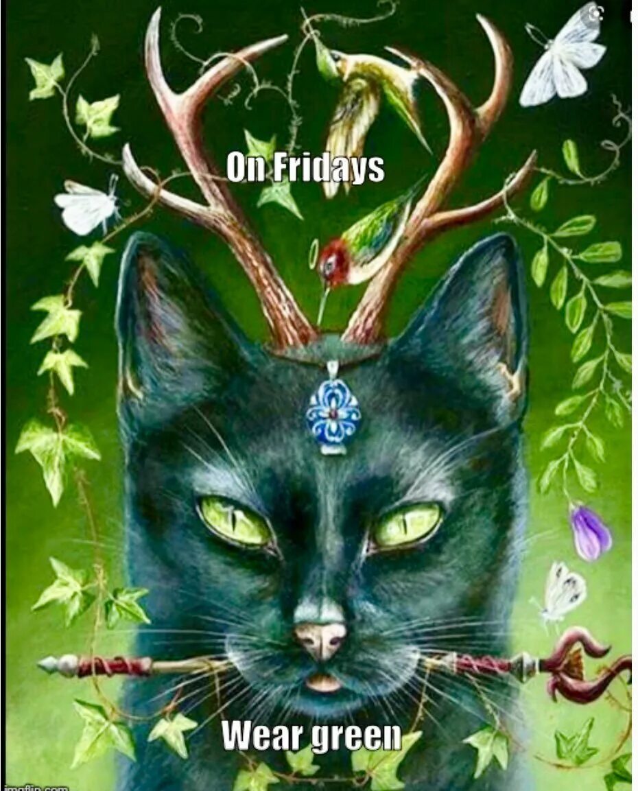 Рогатый кот. Гобболино – ведьмин кот. фамильяр ведьмы черный кот. кошка фамильяр ведьмы арт. ведьма с кошкой.