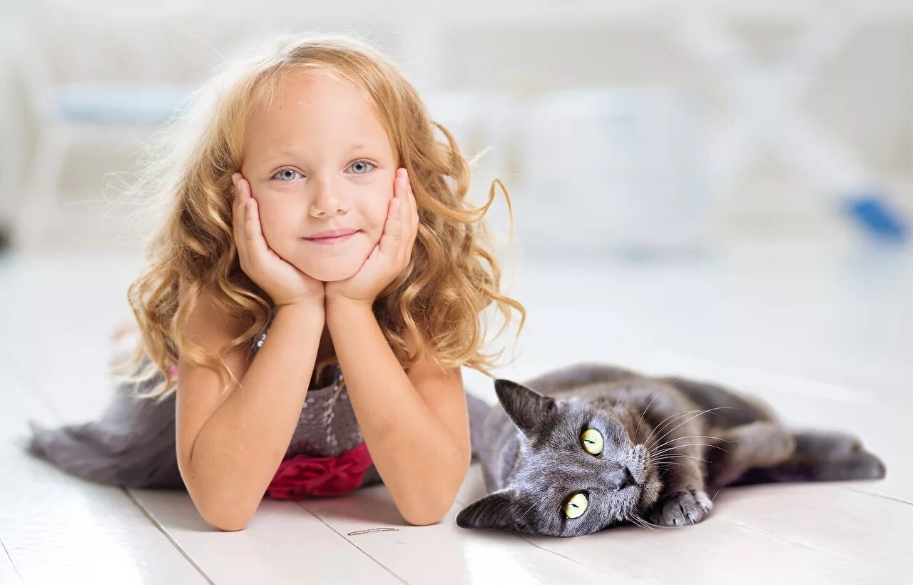 Включи котика девочка. Маленькие дети и животные. Девочка с котом. Игры про кошечек. Красивая девушка с кошкой.